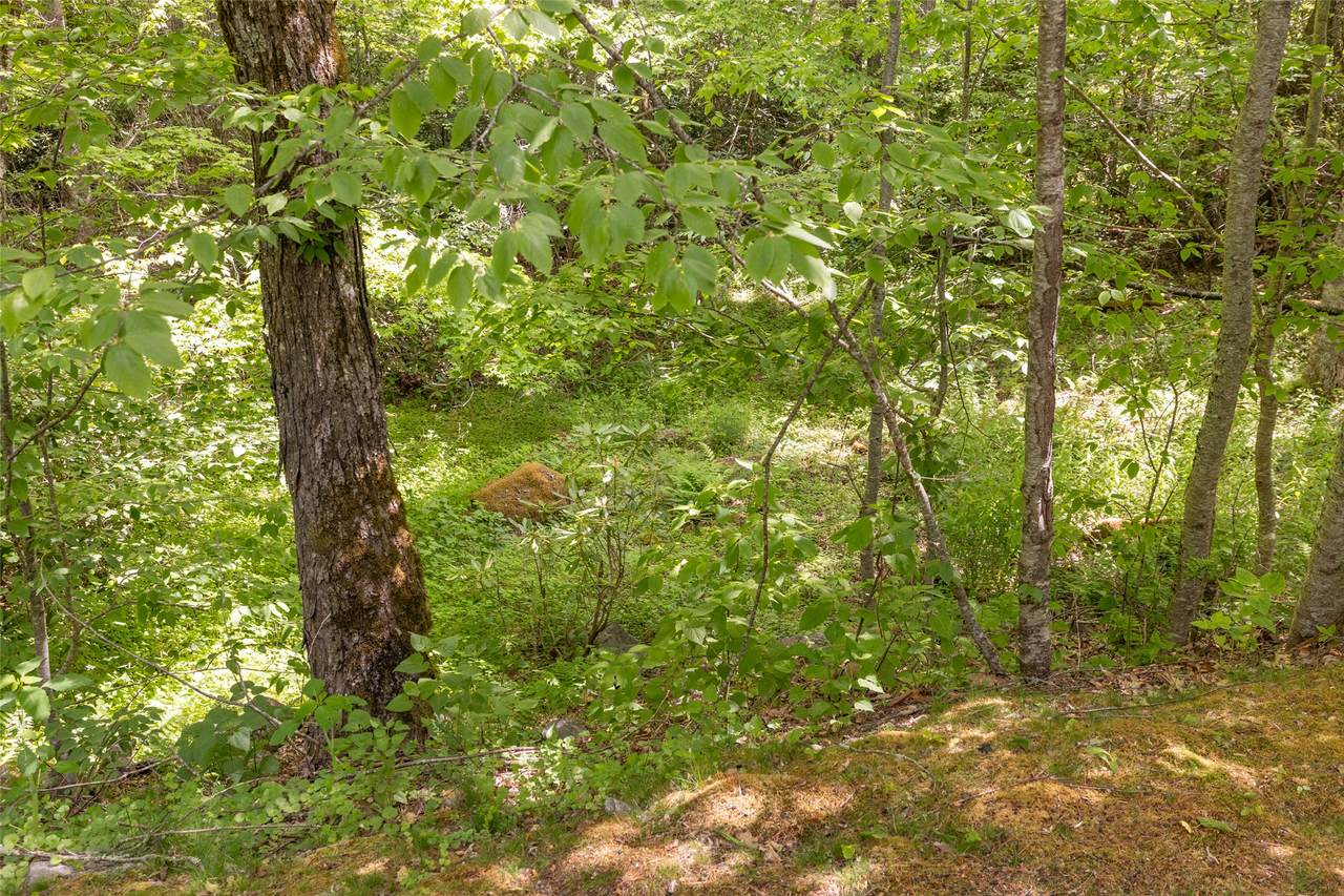 https://bt-photos.global.ssl.fastly.net/hcbor/1280_boomver_1_1003355-2.jpg