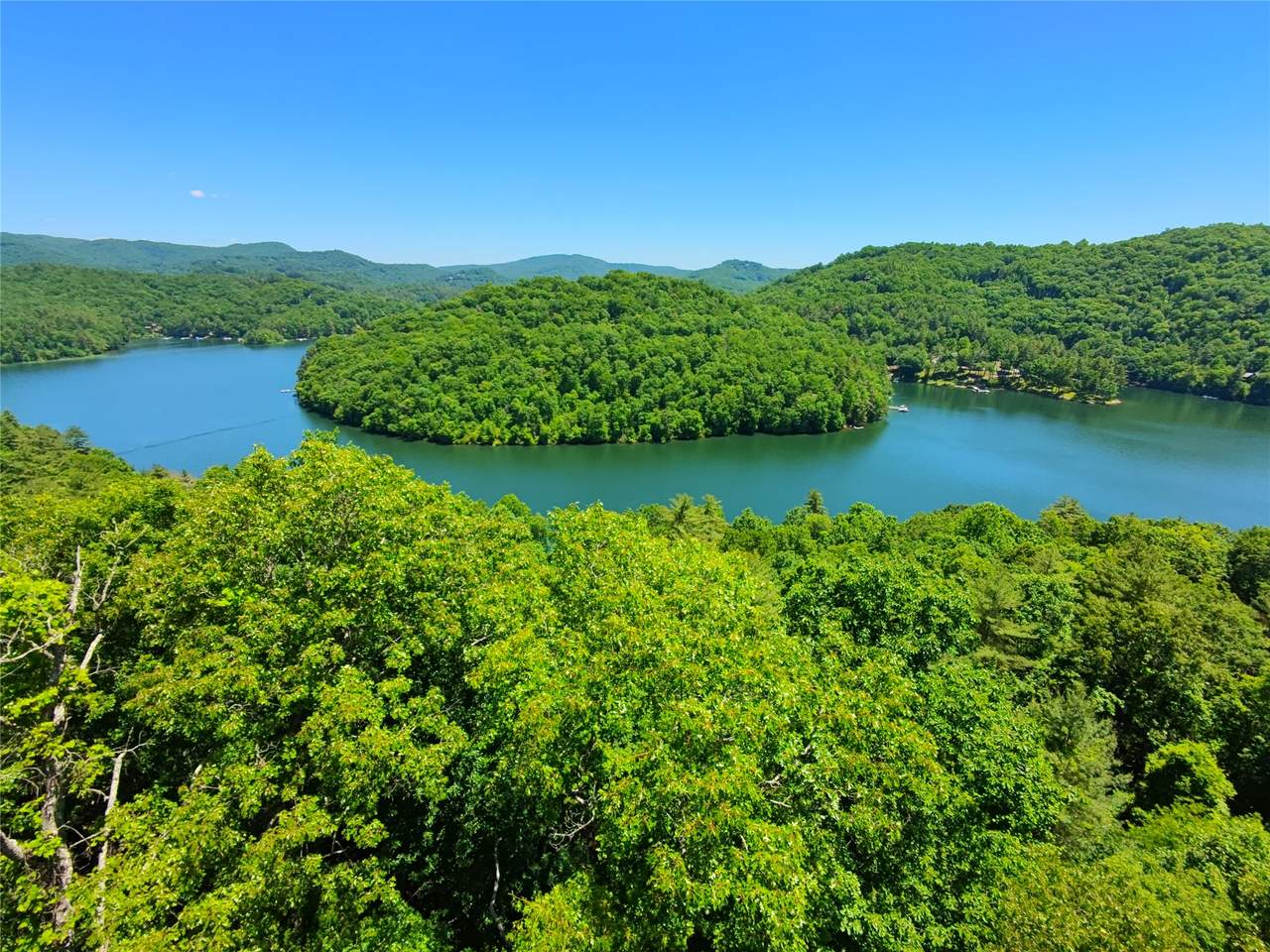 34 Wild Blackberry Ridge - Photo 1