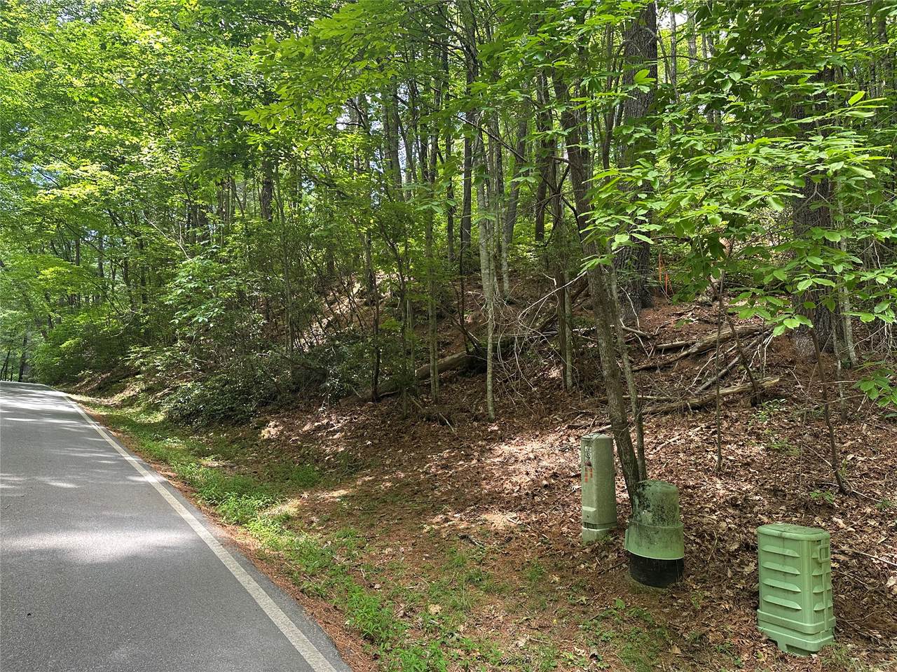 113 Christy Trail - Photo 1