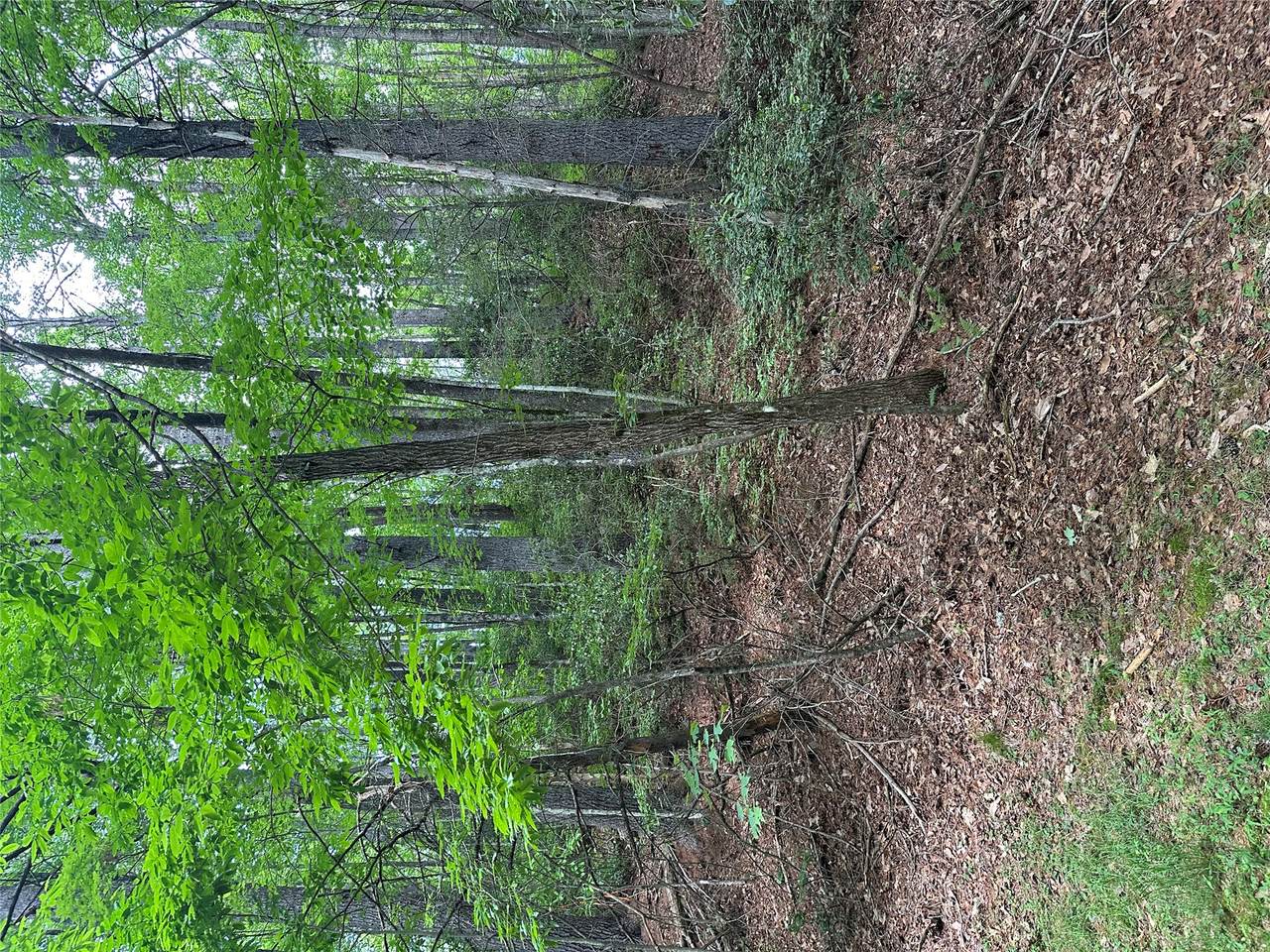 https://bt-photos.global.ssl.fastly.net/hcbor/1280_boomver_1_1003512-2.jpg