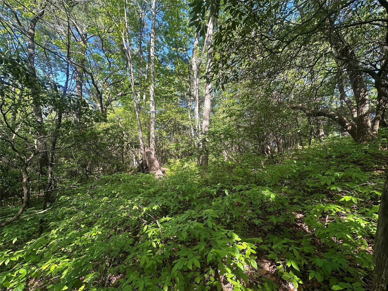 https://bt-photos.global.ssl.fastly.net/hcbor/1280_boomver_1_1003516-2.jpg