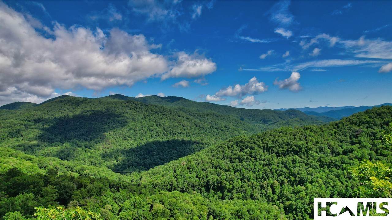 Lot 55 Pilot Mountain - Photo 1