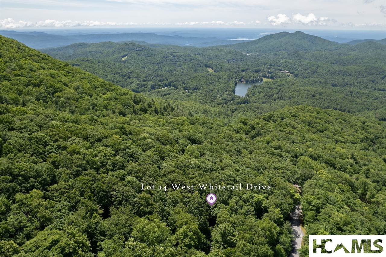 14 W Whitetail Drive - Photo 1