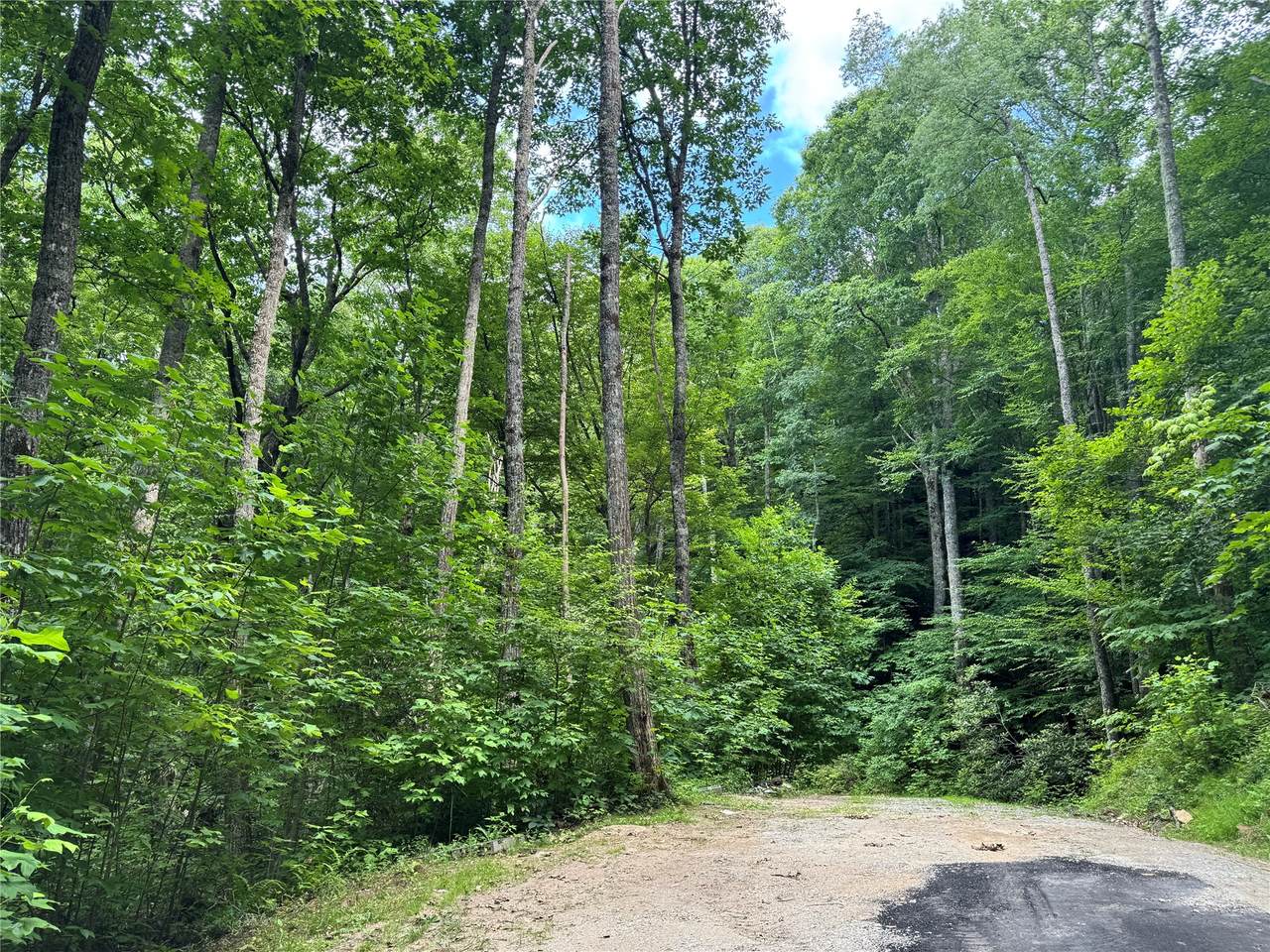 191 Shortoff Shadow Trail - Photo 1