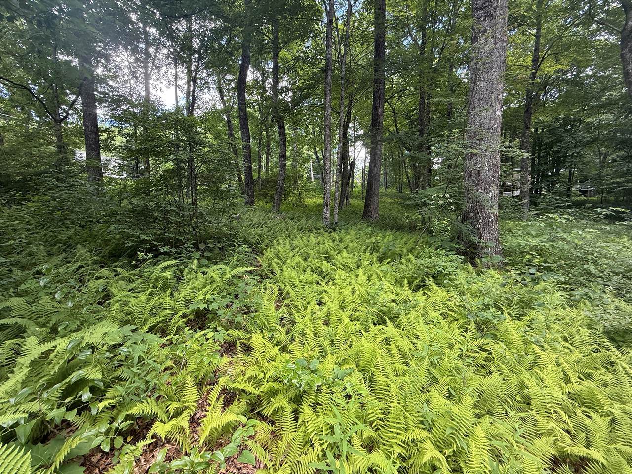 Lot 9 Apple Mountain Lane - Photo 1