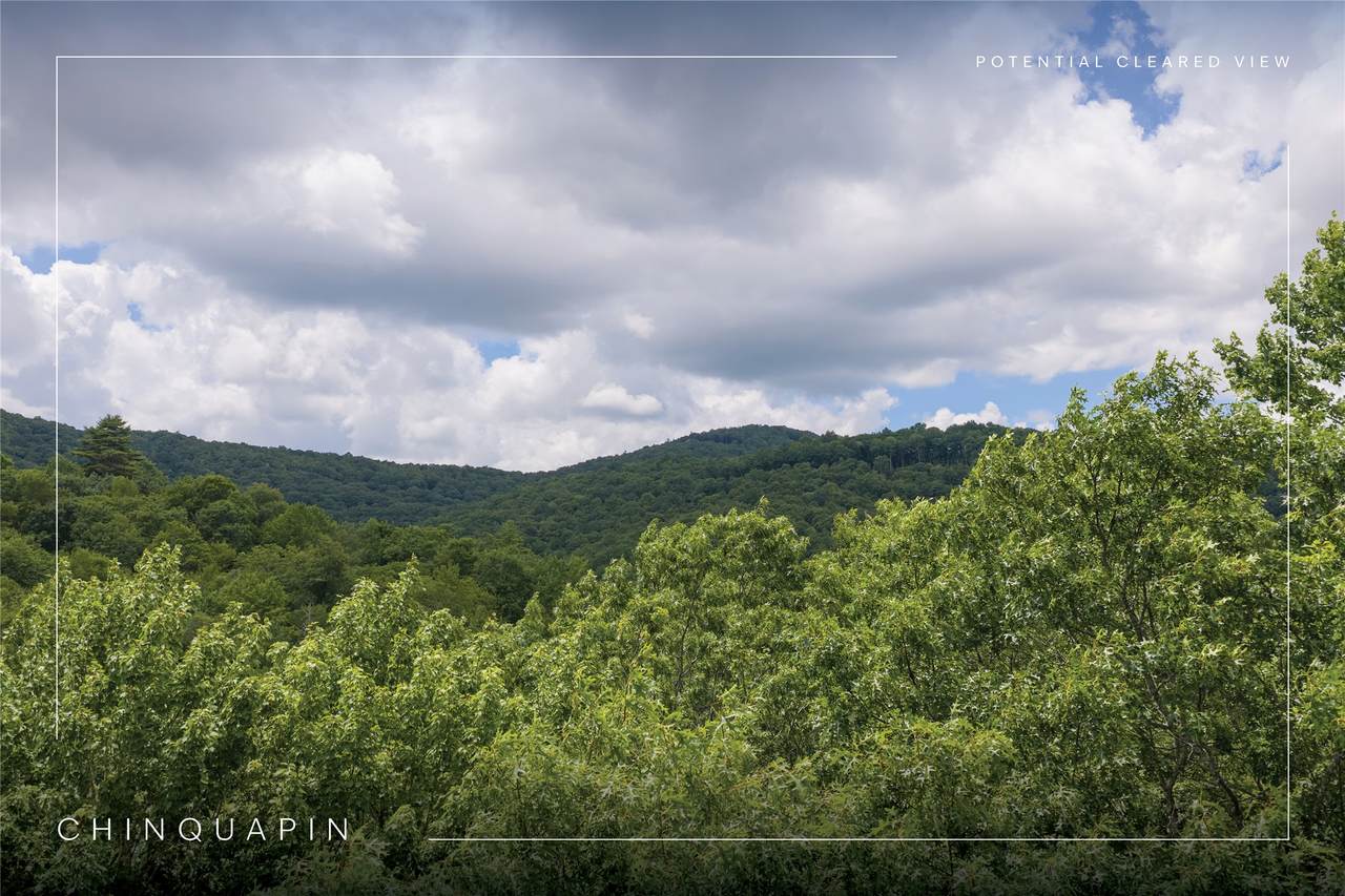 105 Crippled Oak Trail - Photo 1