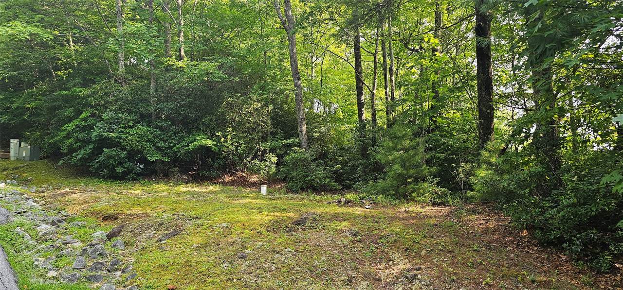 P2Lot5 Toxaway Drive - Photo 1