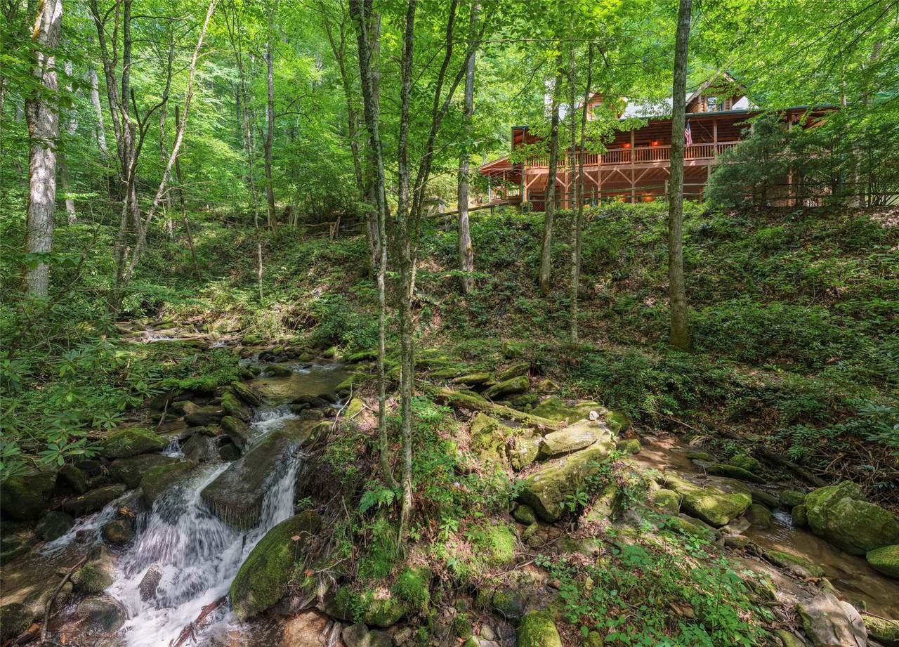 343 Bear Track Drive - Photo 1