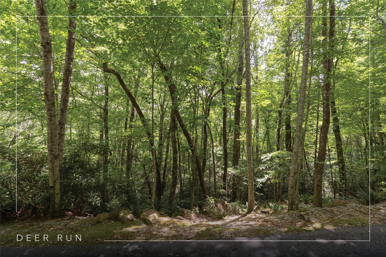 Lot 54 Toxaway Lane - Photo 1