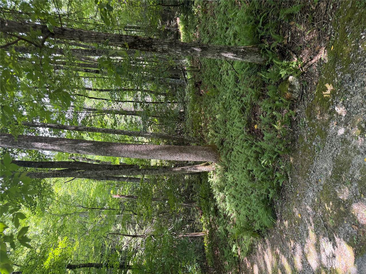 Lt 68A Maidenhaire Lane - Photo 1