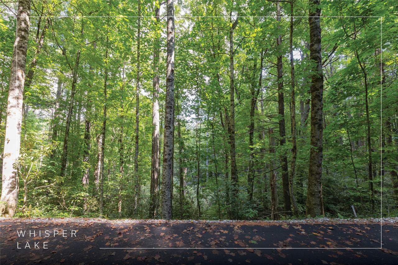Lot 64 Grandview Court - Photo 1