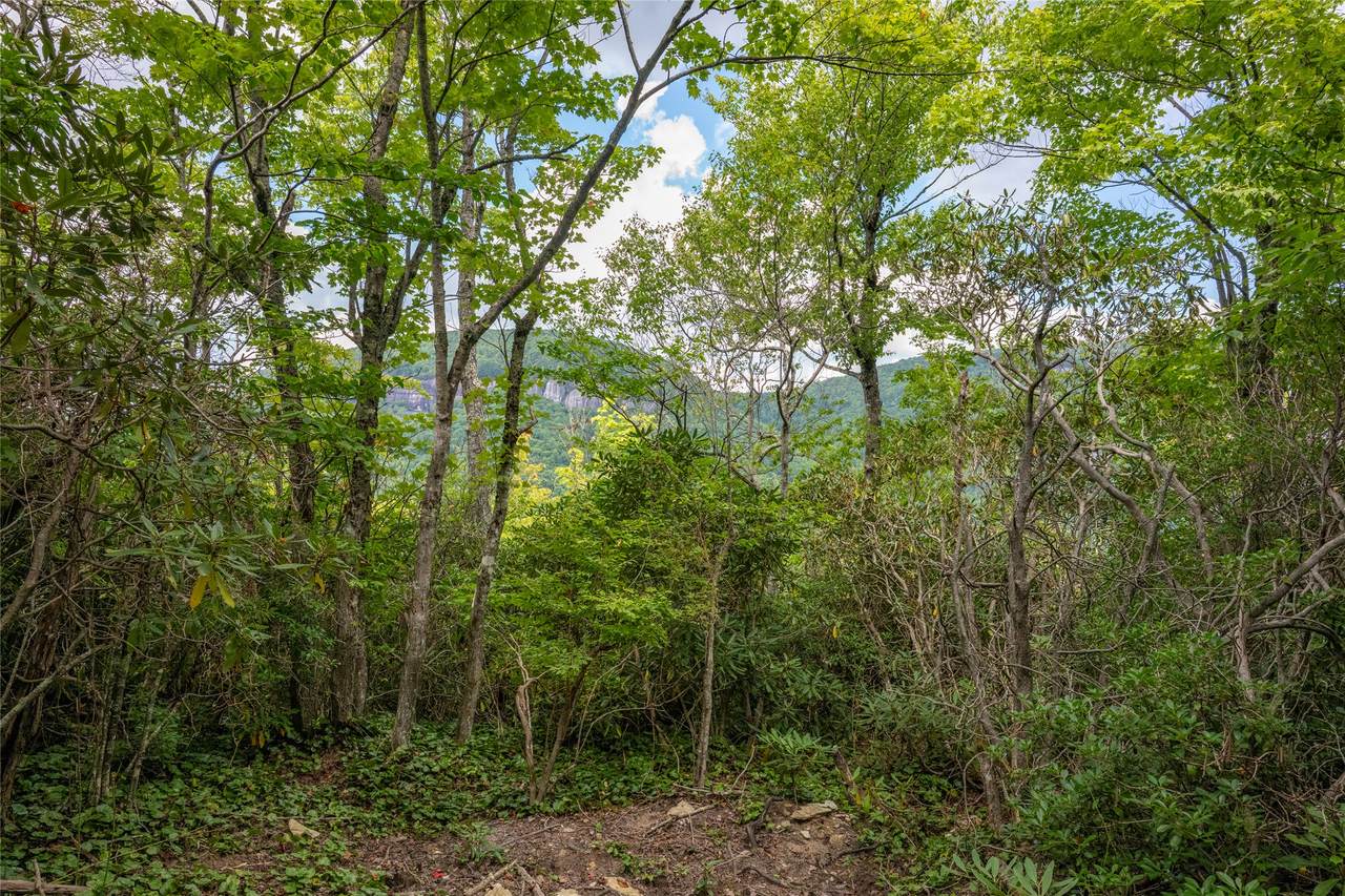 https://bt-photos.global.ssl.fastly.net/hcbor/1280_boomver_1_1004113-2.jpg