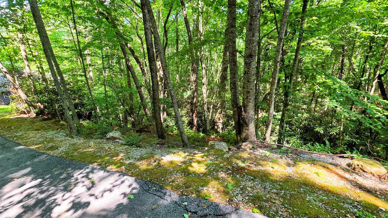 Lot 55 Toxaway Lane - Photo 1