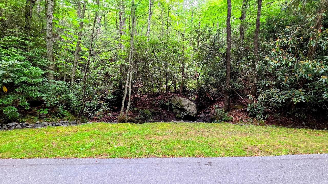 Lot 5 Black Oak Drive - Photo 1