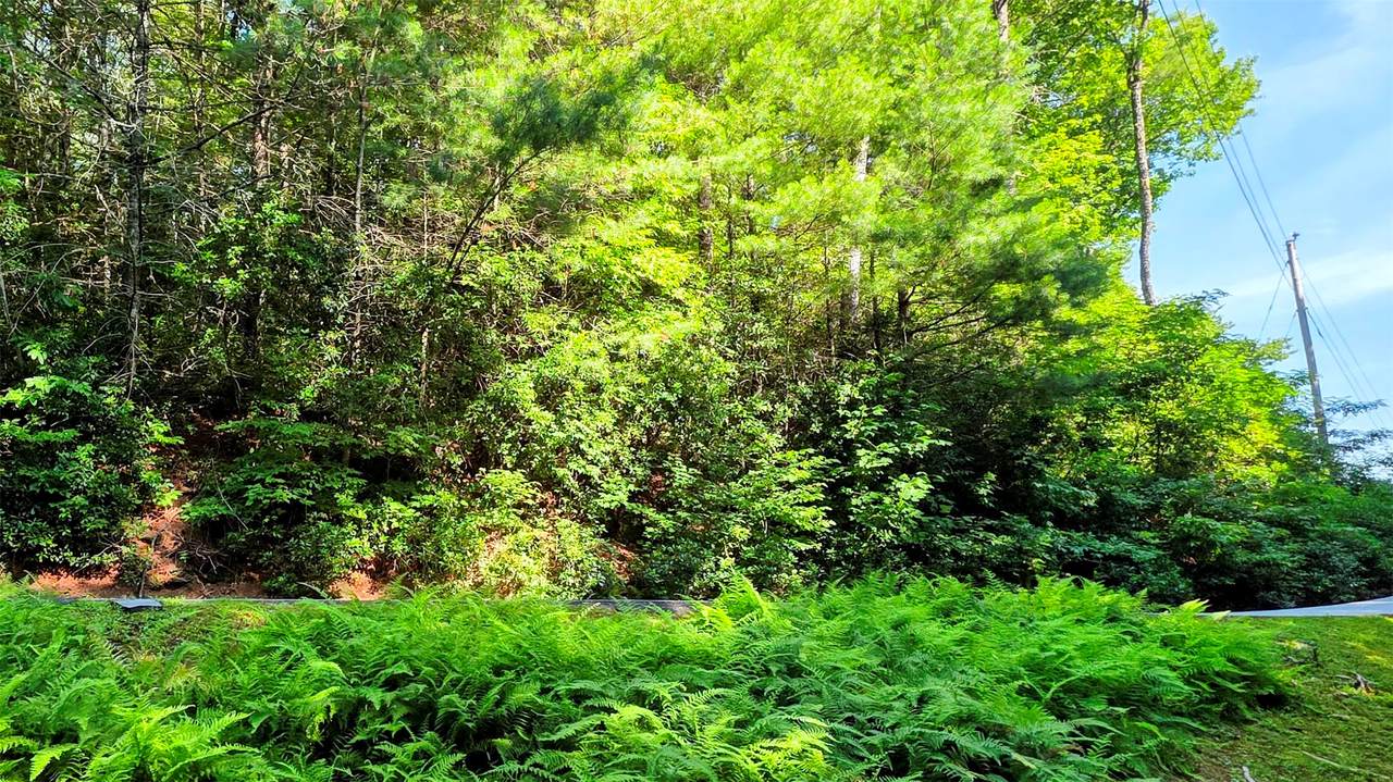Lt 201 Wild Berry Court - Photo 1