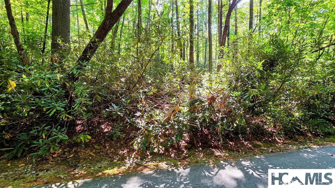 Lot 61 Black Oak Drive - Photo 1