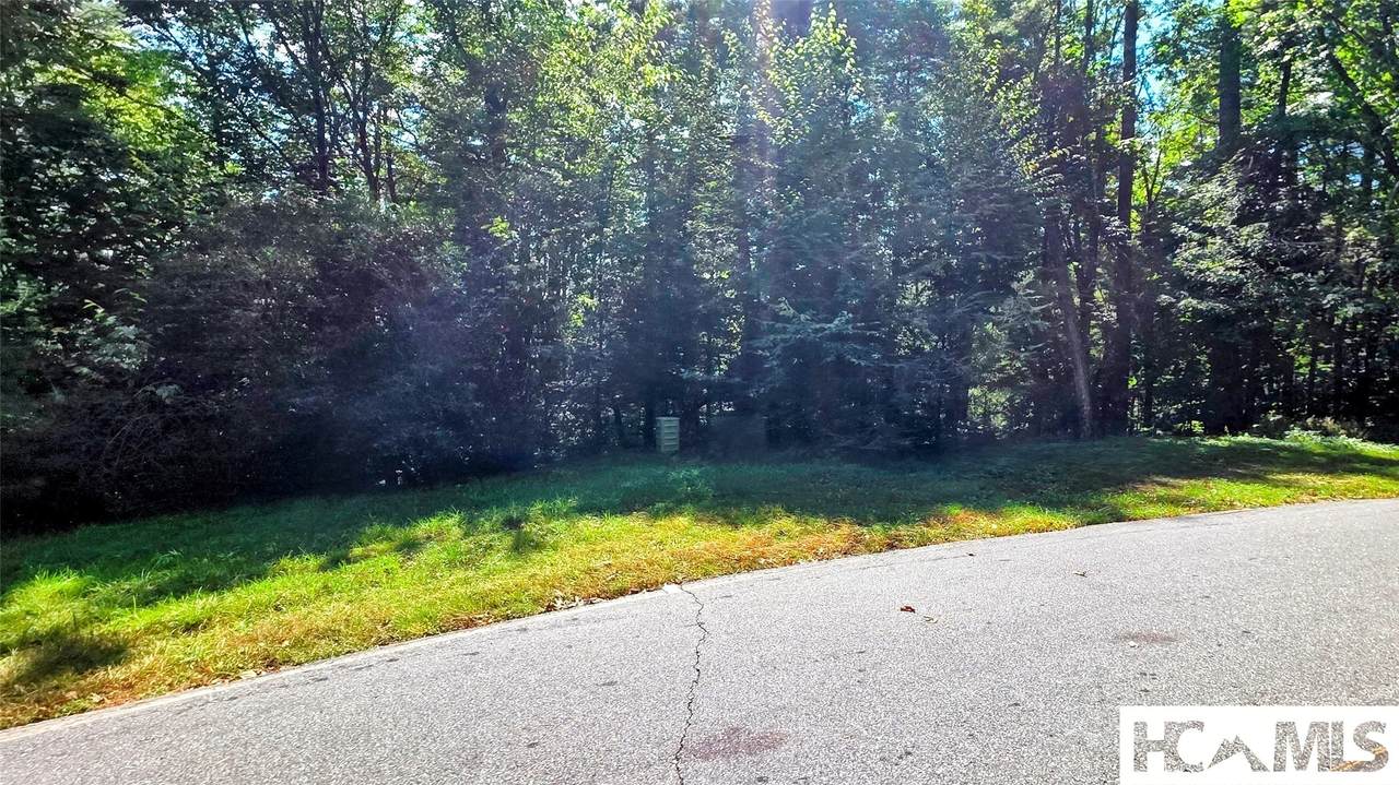 Lot 8 Christy Trail - Photo 1
