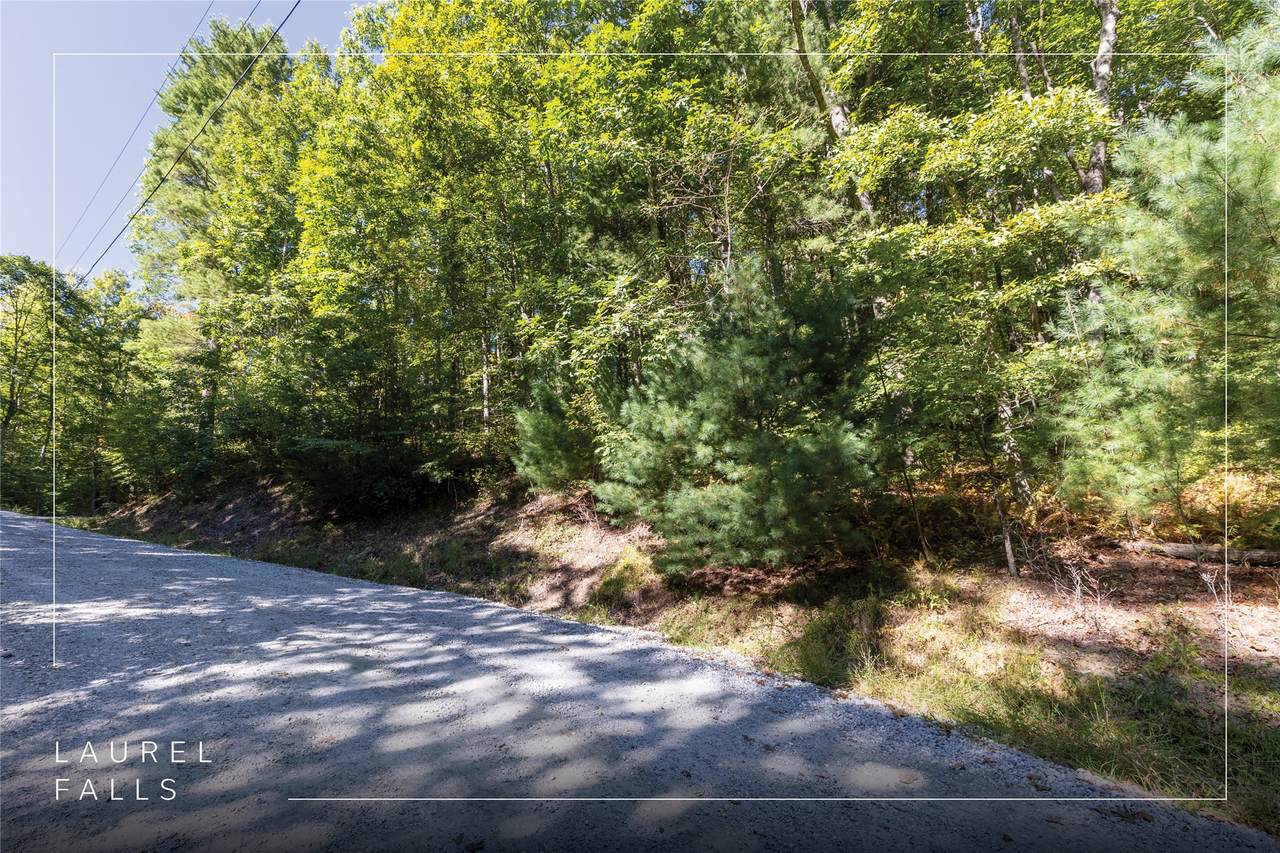 B44A Great Falls Drive - Photo 1