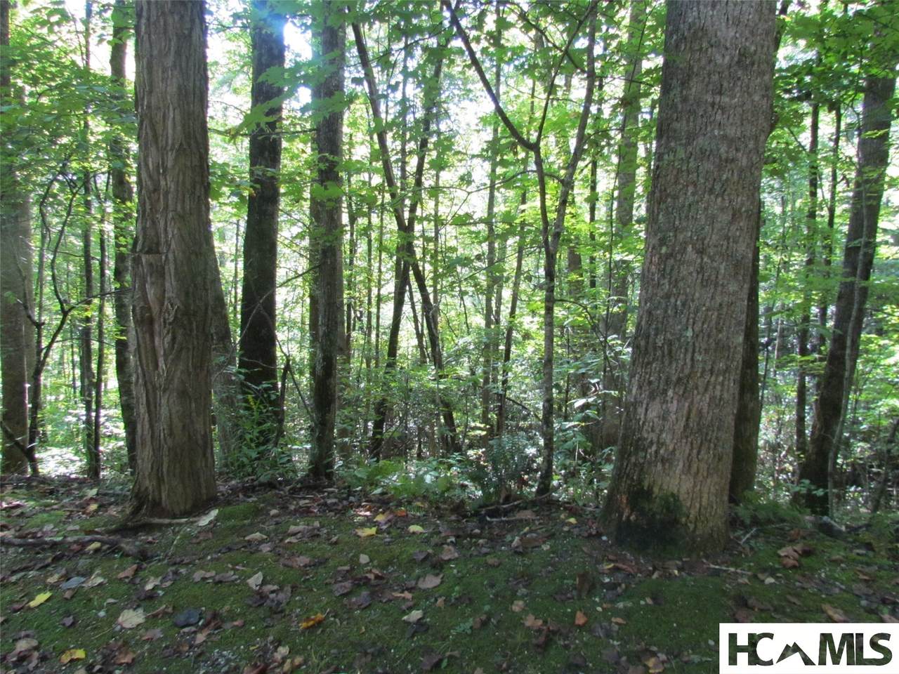 00 Wayfaring Road - Photo 1