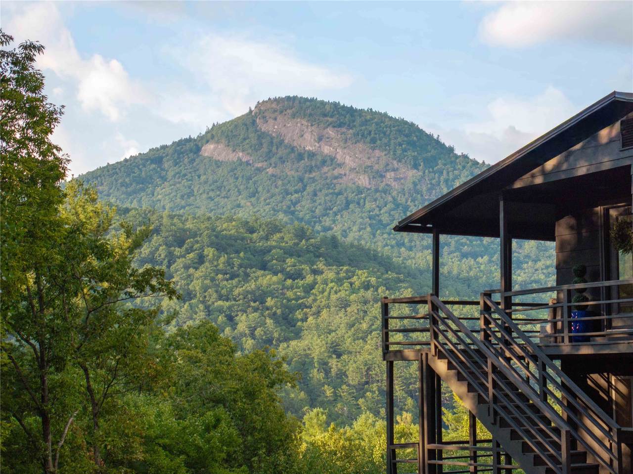 121 Sassafras Gap Road - Photo 1