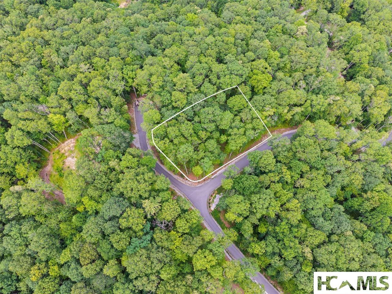5 Lone Panther Ridge - Photo 1
