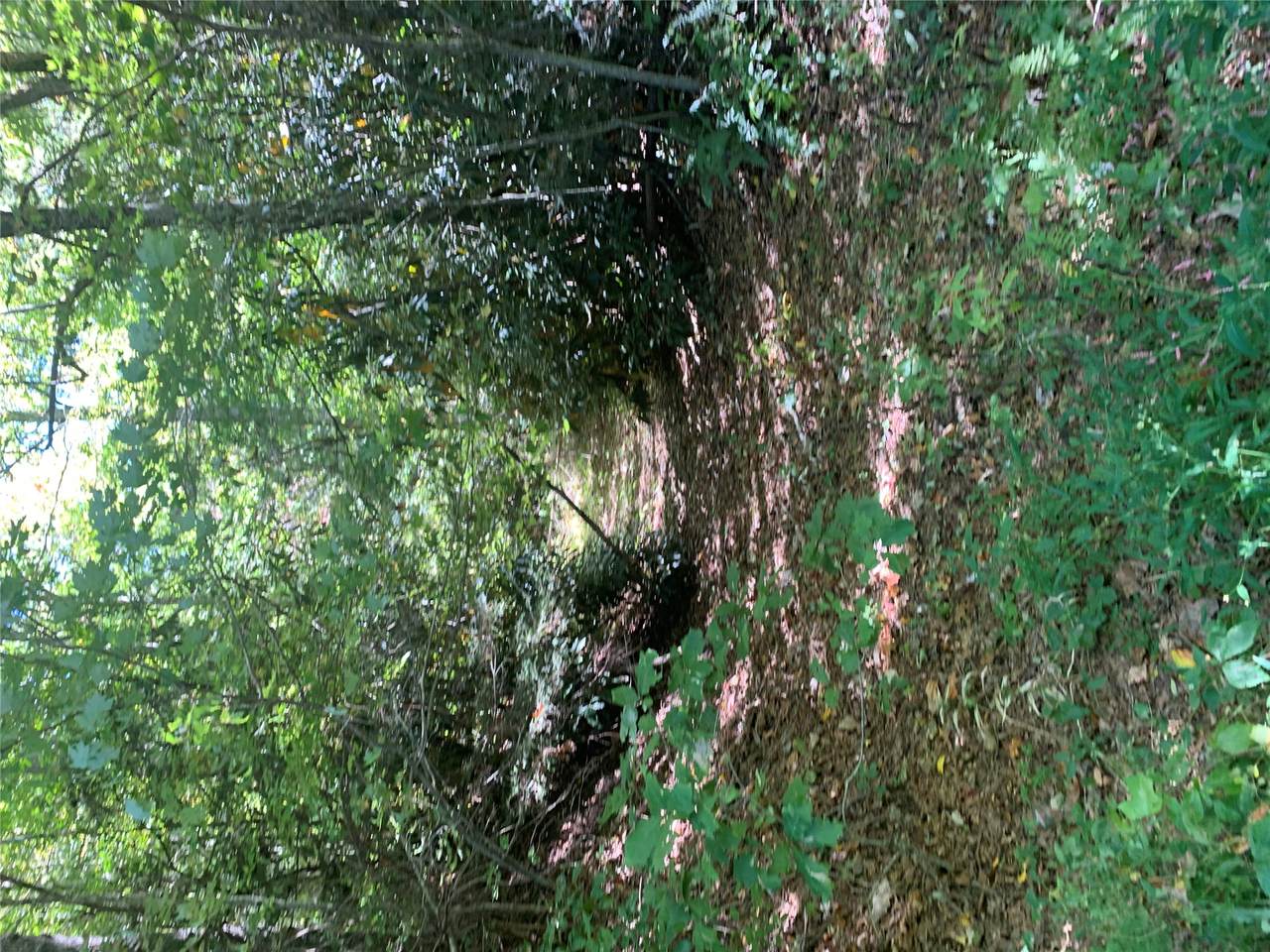 TBD Hwy 106 - Photo 1
