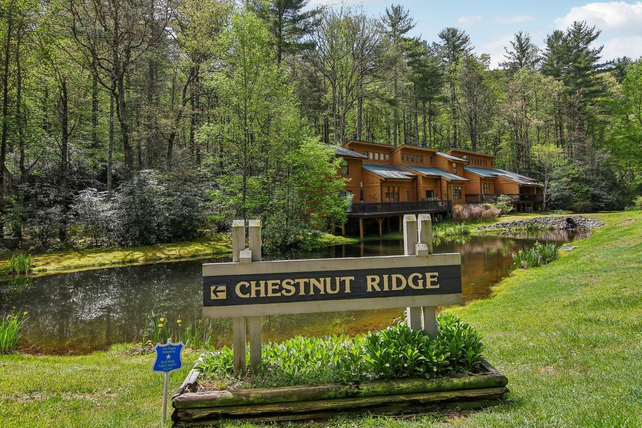 24 Chestnut Ridge Road - Photo 1