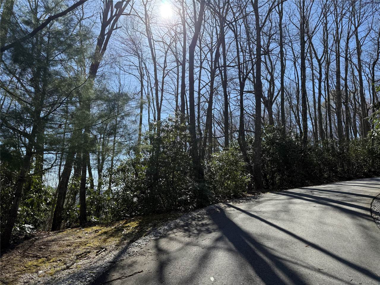 lot 21 Bright Mountain - Photo 1