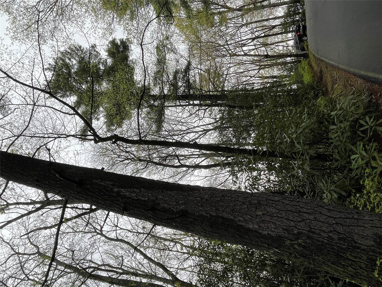 https://bt-photos.global.ssl.fastly.net/hcbor/1280_boomver_2_1000689-2.jpg