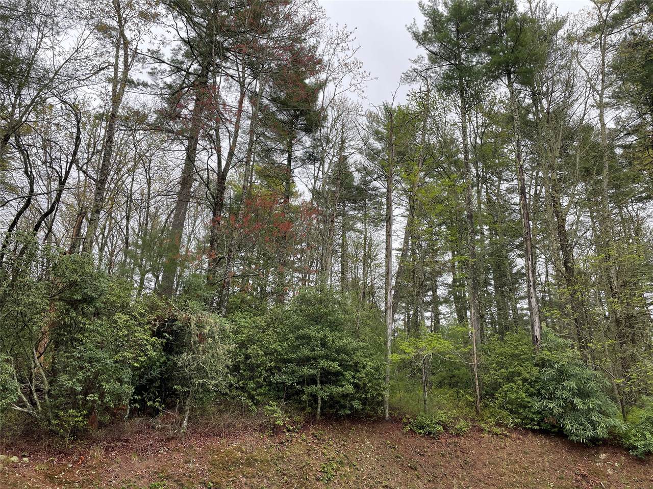 Lot G- Bailey Lane - Photo 1