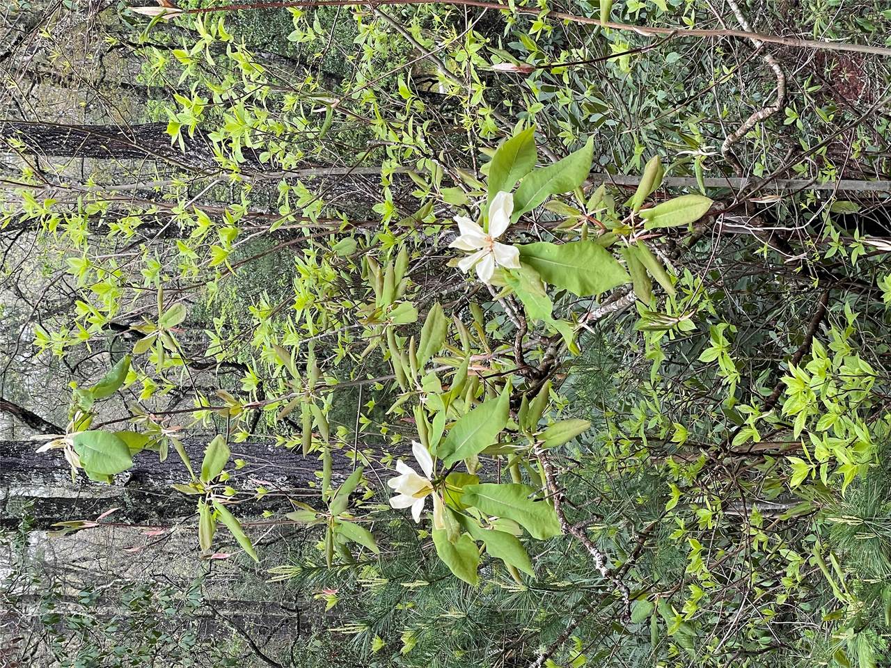 https://bt-photos.global.ssl.fastly.net/hcbor/1280_boomver_2_1000703-2.jpg