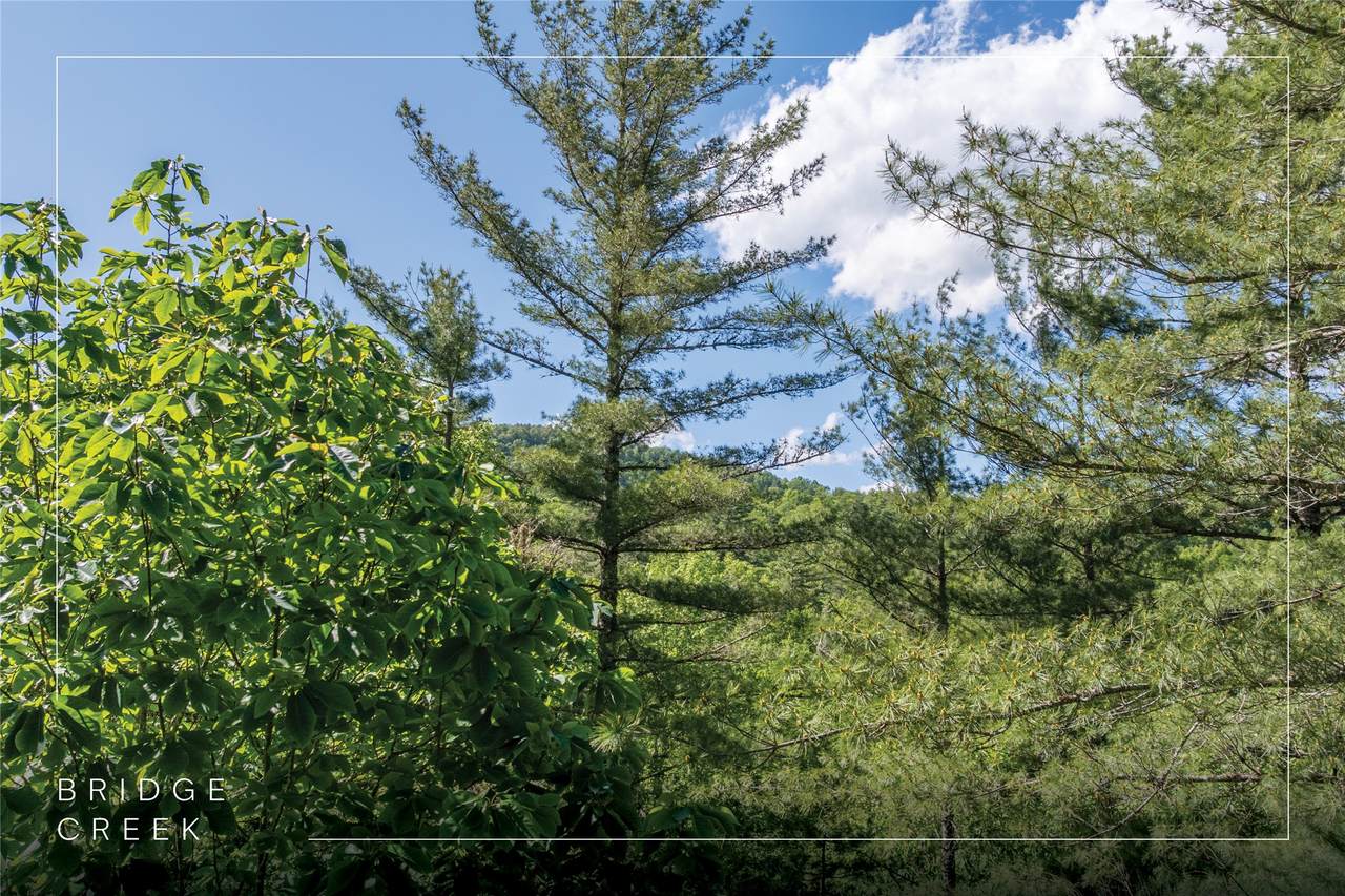 Lot 82 Fishing Village Lane - Photo 1