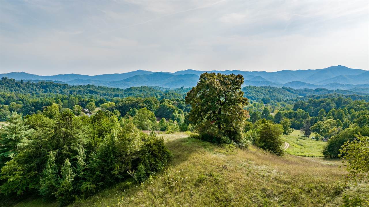 TBD Cattle Dr. - Photo 1