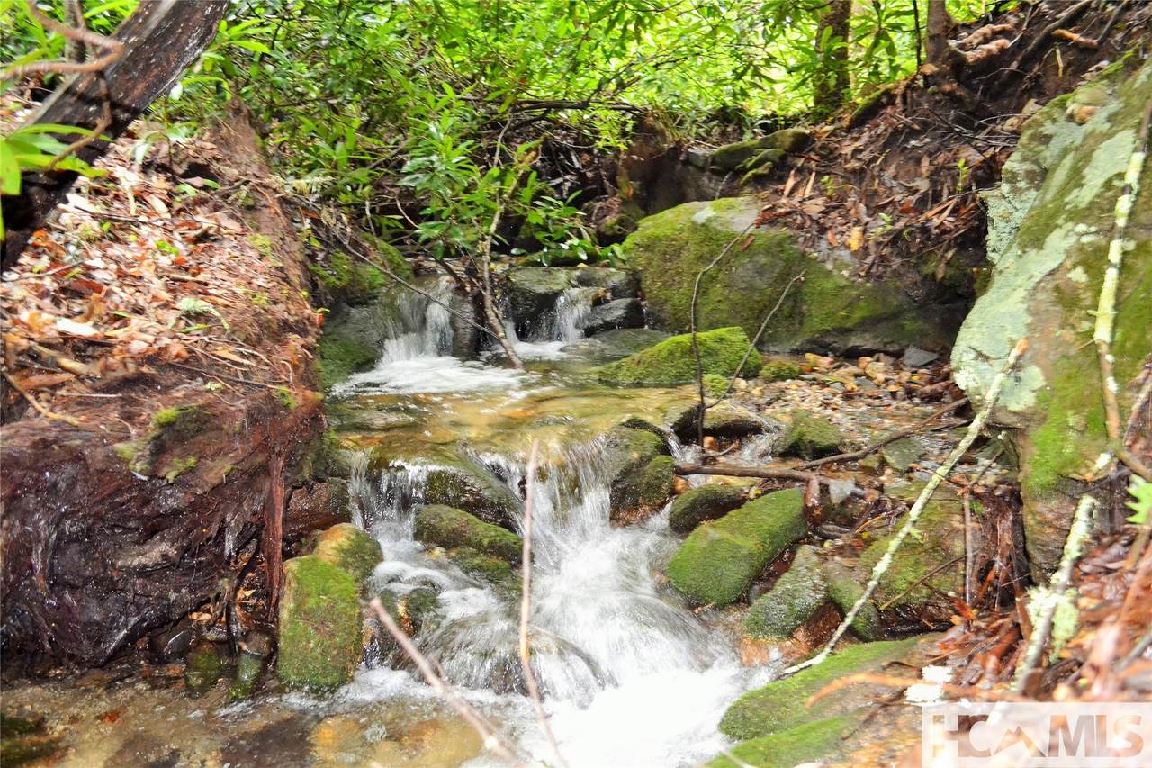 Lot HS Speckled Feather Pass - Photo 1