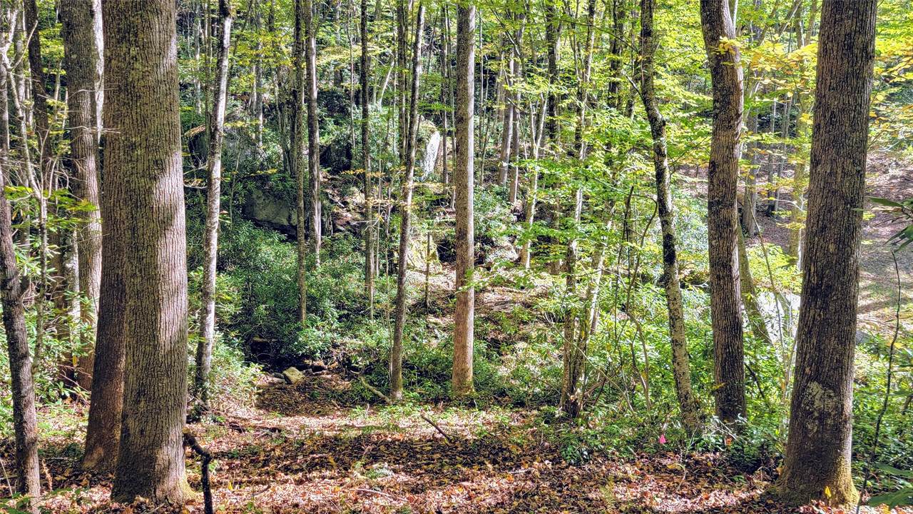 Lot PQ Spikemoss Road - Photo 1