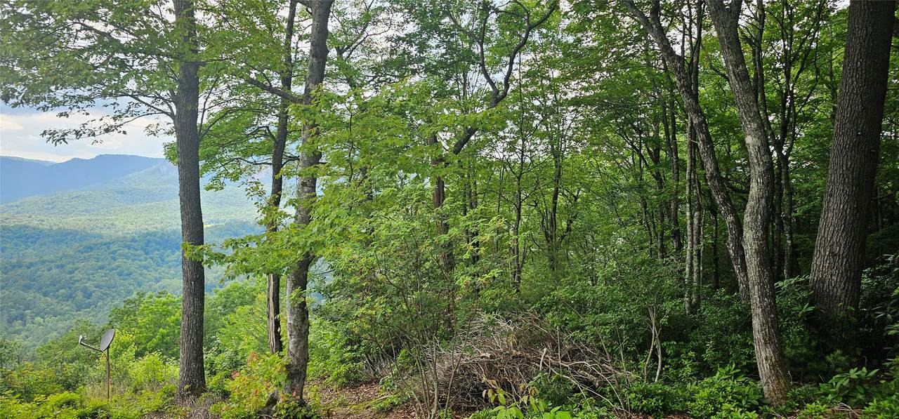 30 Top Of The Ridge Road - Photo 1