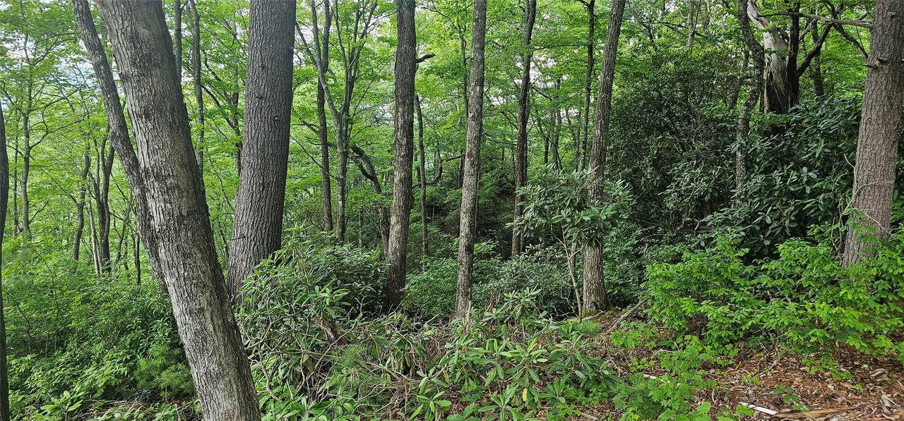 https://bt-photos.global.ssl.fastly.net/hcbor/1280_boomver_2_1001517-2.jpg