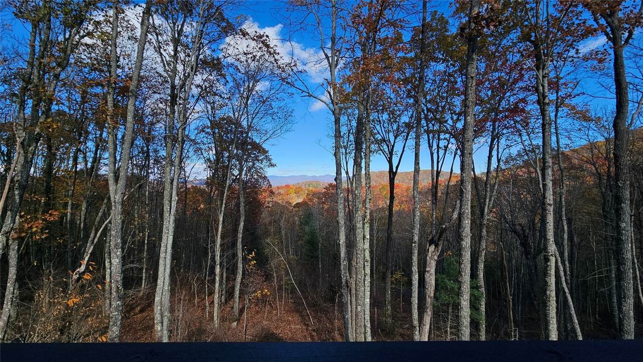 906 New Settlers Way - Photo 1