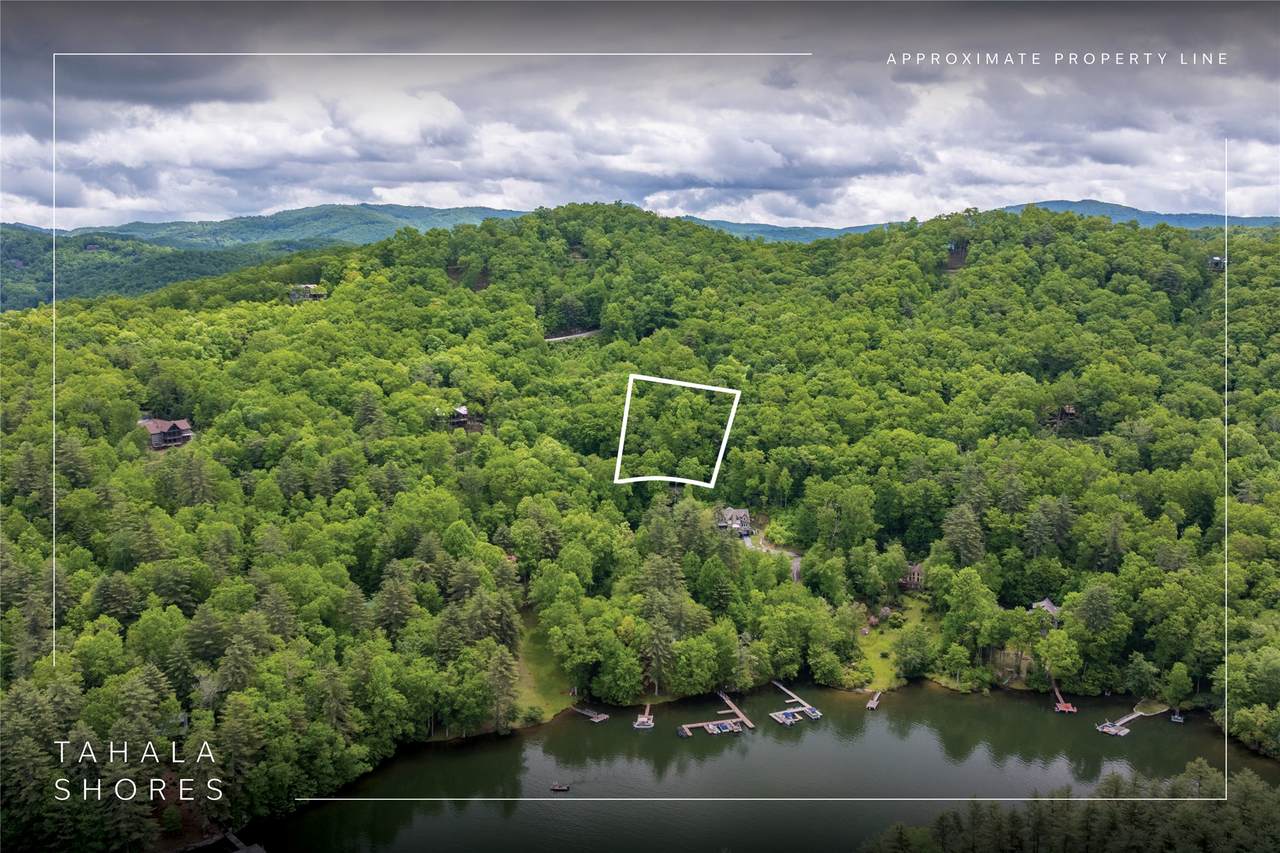 Lot 5 Woods Mountain Trail - Photo 1