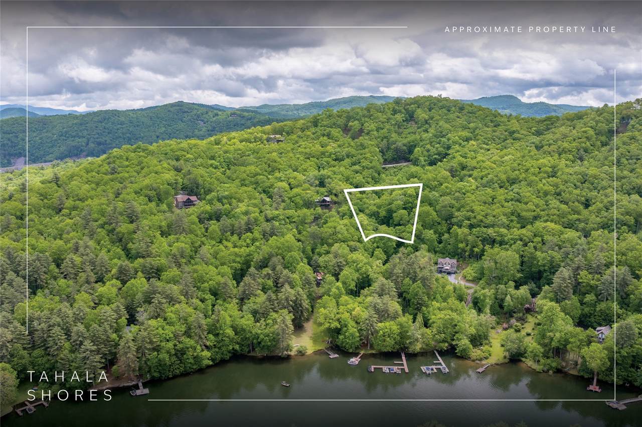 Lot 6 Woods Mountain Trail - Photo 1