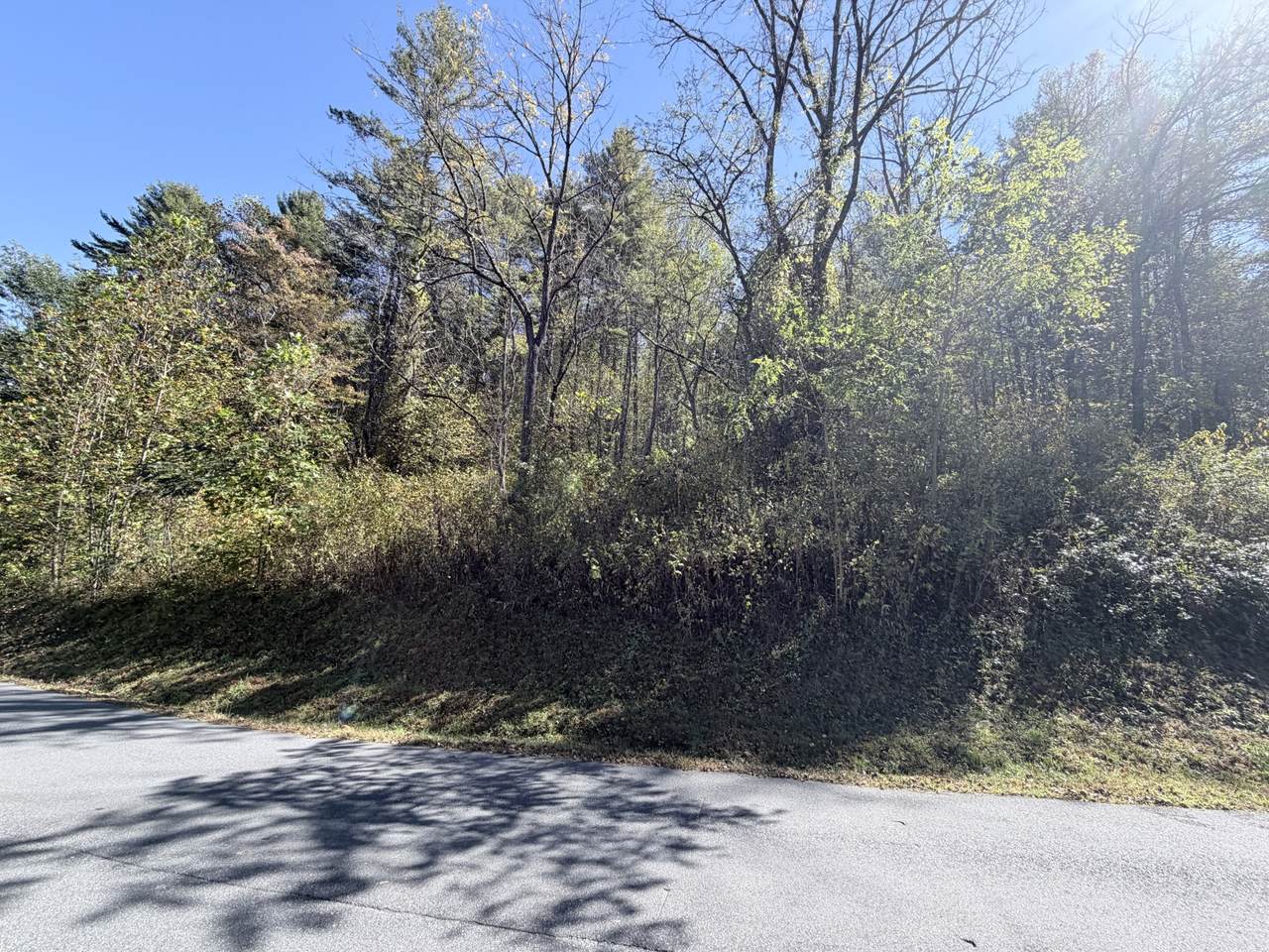 16 Rustling Woods Trail - Photo 1