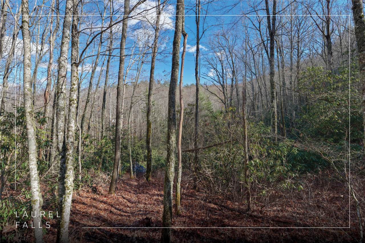 Lt D64 Rye Mountain Drive - Photo 1