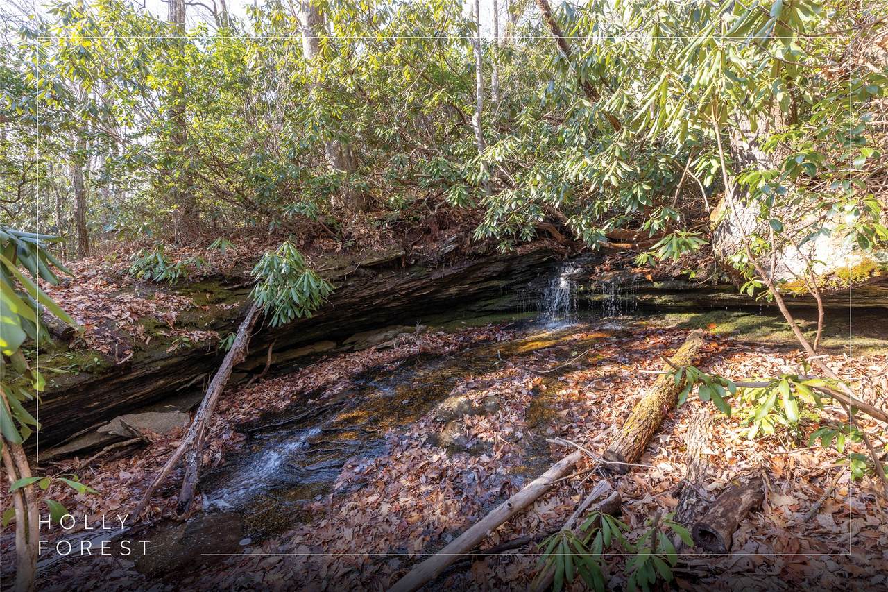 Lot 30 Rock Creek Court - Photo 1