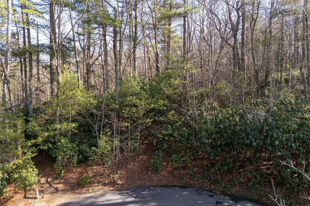 https://bt-photos.global.ssl.fastly.net/hcbor/1280_boomver_2_1002397-2.jpg