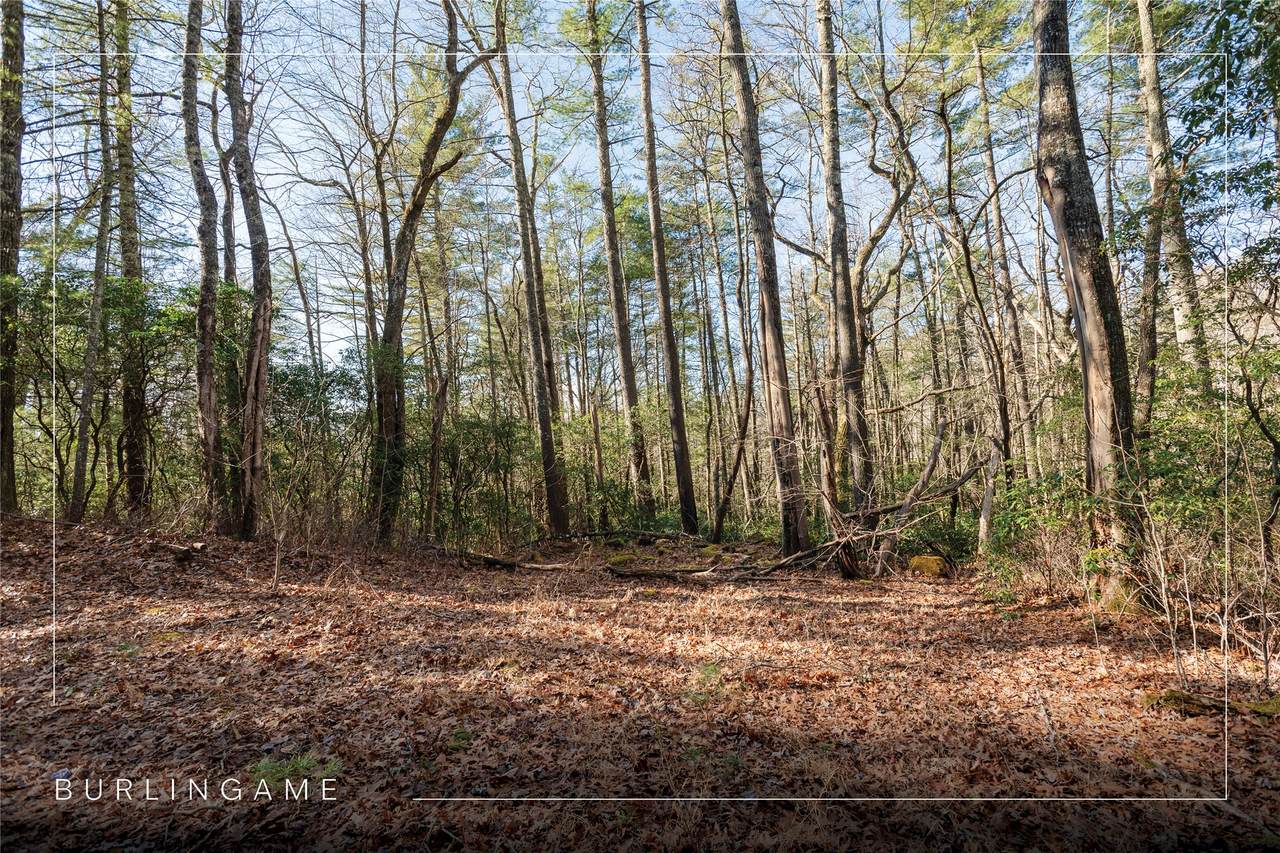 Lot 67 Big Pine Road - Photo 1