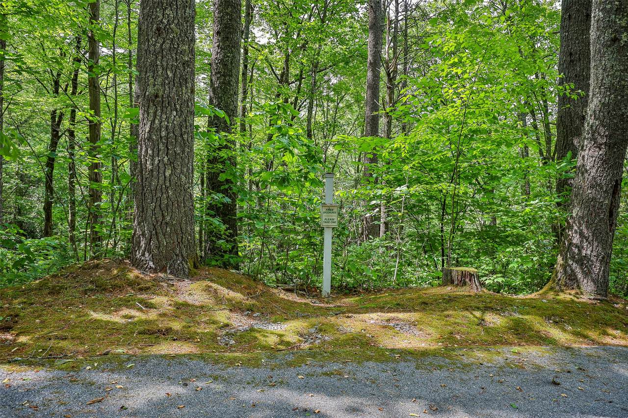 43 Rochester Drive - Photo 1
