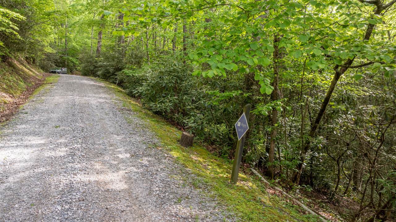 11 Power Line Road - Photo 1