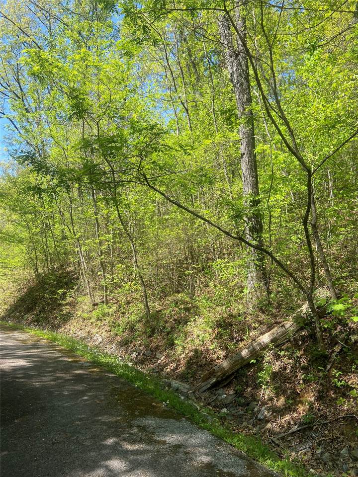 23 Green Drake Lane - Photo 1