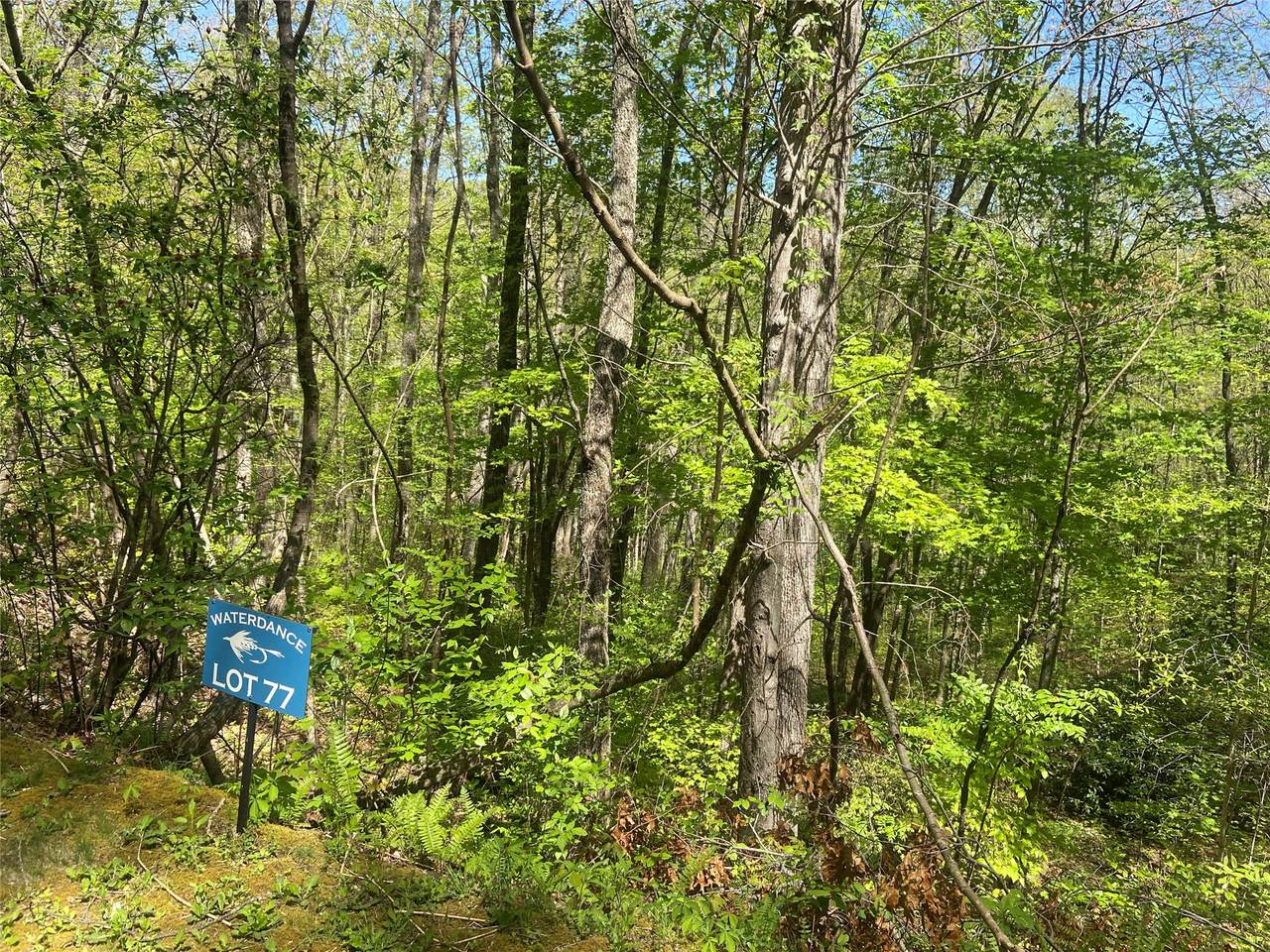 77 Royal Wulff Drive - Photo 1