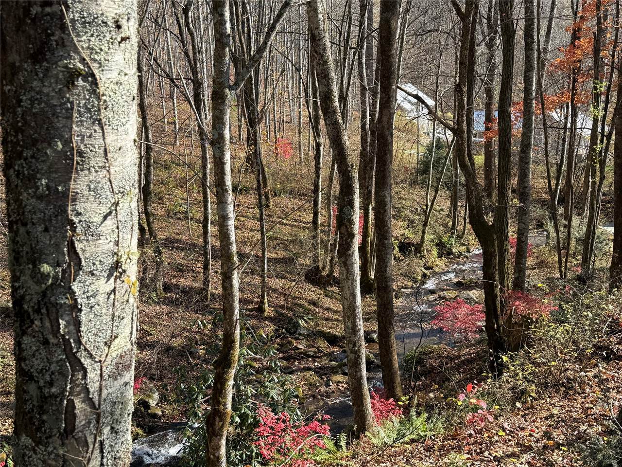 2094 Fisher Creek Road - Photo 1